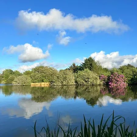 Lakeside Glamping Kingfisher